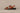 Jerico Sandal