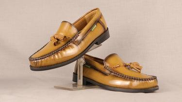 Dakotas Tommy Tan Hi Shine