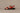 Jerico Sandal