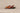 Jerico Sandal Multi