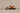 Jerico Sandal